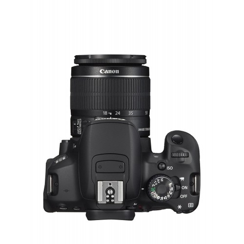 Image of every carousel