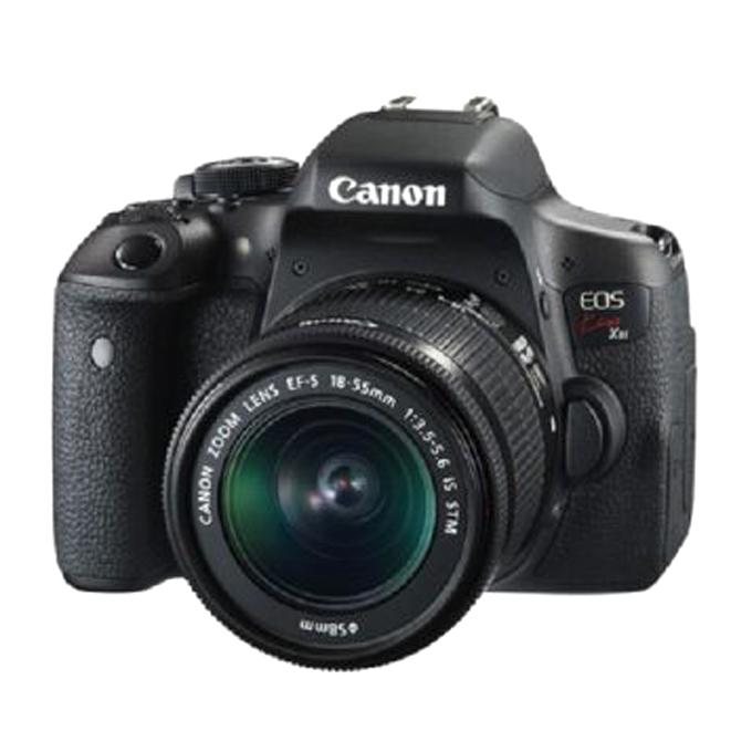 Image of every carousel