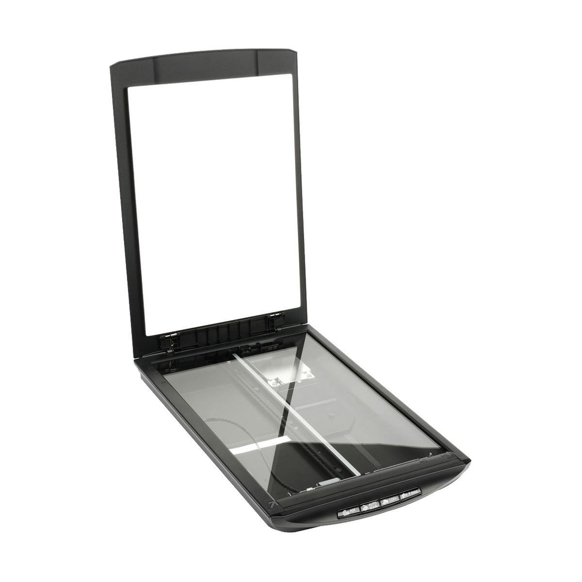 Image of every carousel