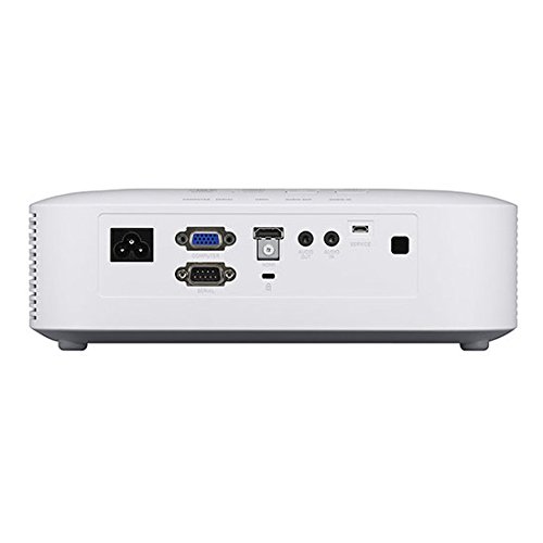 Image of every carousel